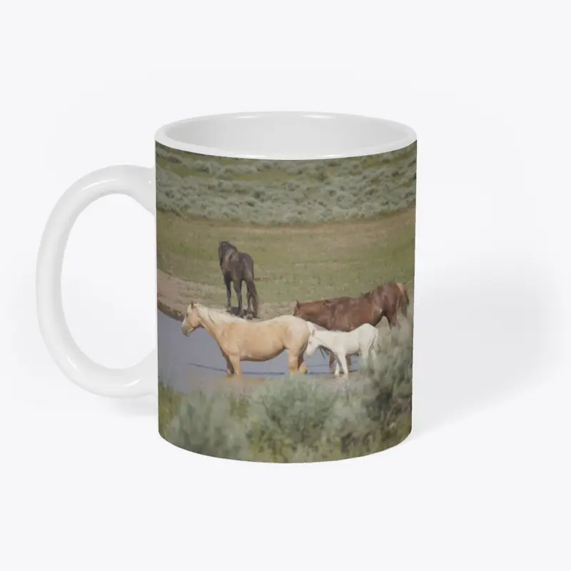 Steens Mountain Wild Horses